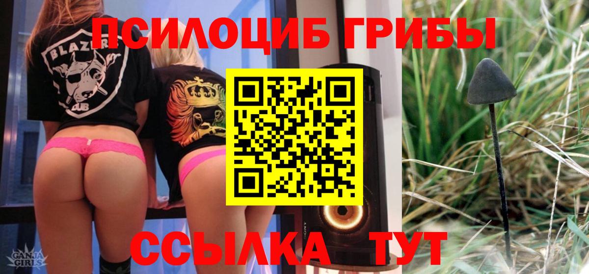 Куйбышев  Галлюциногенные грибы мухоморы  Псилоцибиновые грибы Psilocybe  Вход с VPN 
