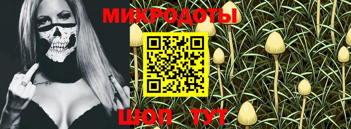Псилоцибиновые грибы Psilocybine cubensis Куйбышев